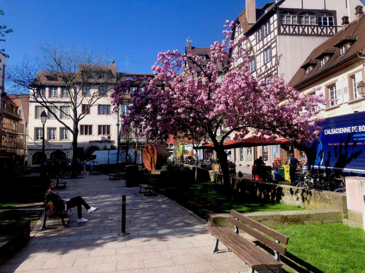 Le Moment Bleu Estrasburgo Exterior foto