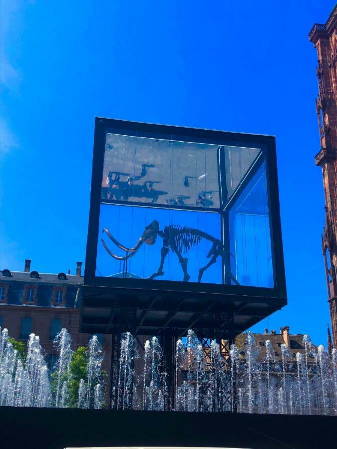 Le Moment Bleu Estrasburgo Exterior foto